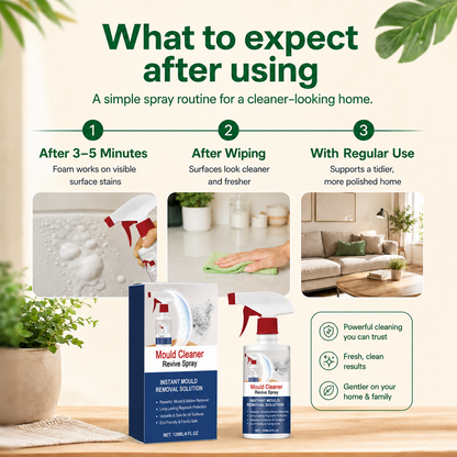 Mold and Mildew Stain Remover Spray Foaming Multi Surface Cleaner
